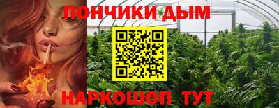 а пвп мука Кингисепп