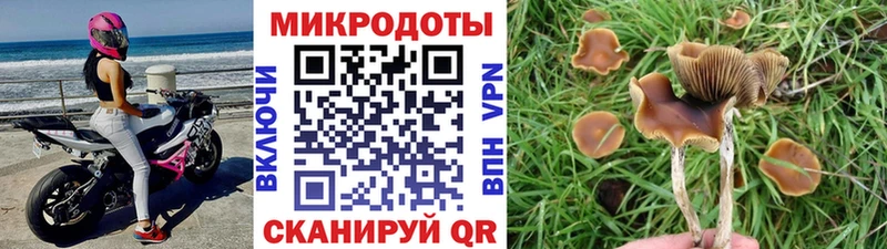 Галлюциногенные грибы Magic Shrooms  Краснодар 